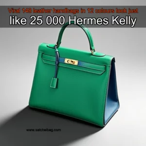 Read more about the article Viral 148 leather handbags in 12 colours look just like 25  000 Hermes Kelly