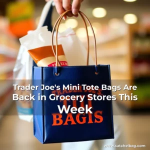 Read more about the article Trader Joe’s Mini Tote Bags Are Back in Grocery Stores This Week